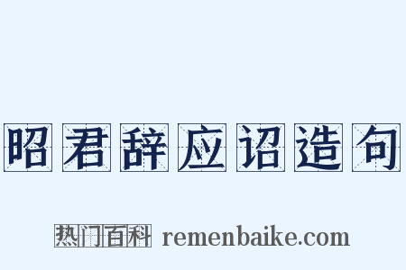 昭君辞应诏造句是什么意思的图片